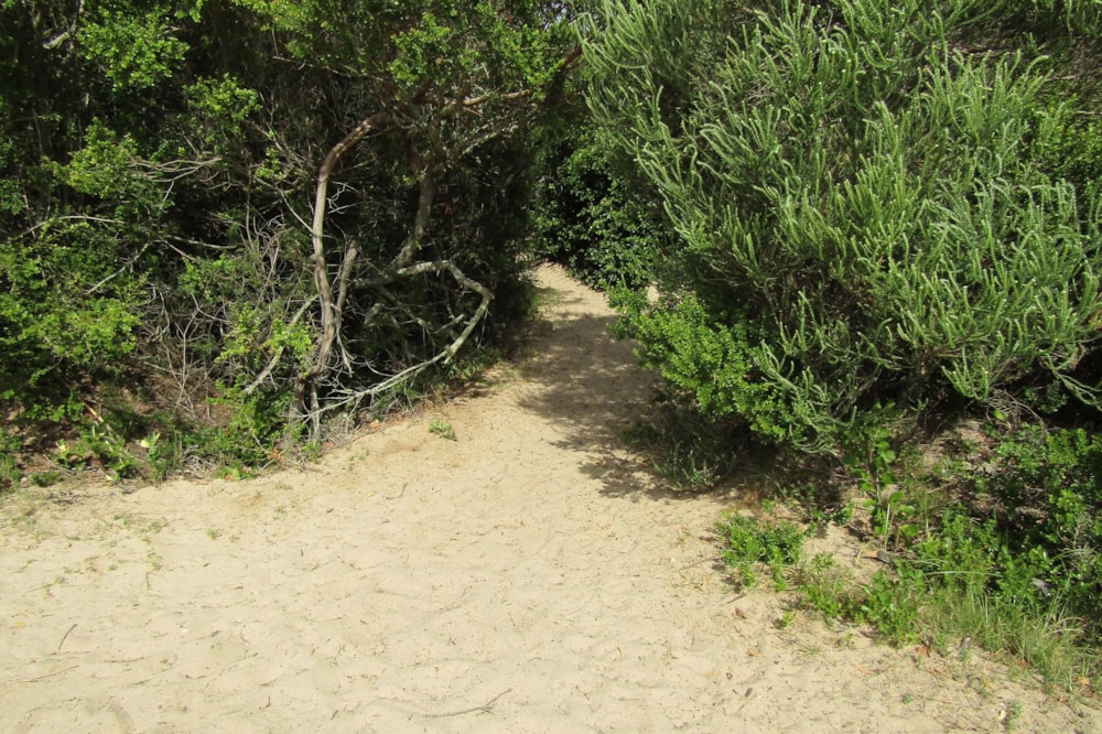 Residential vacant land sold in Poortjies - 1KG1726549