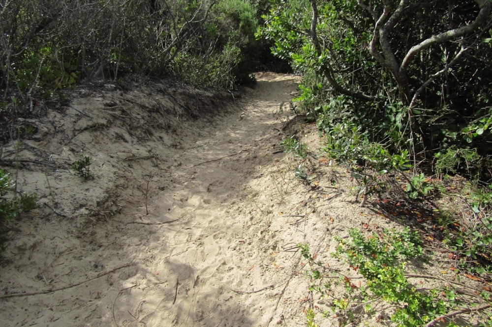 Residential vacant land sold in Poortjies - 1KG1726549