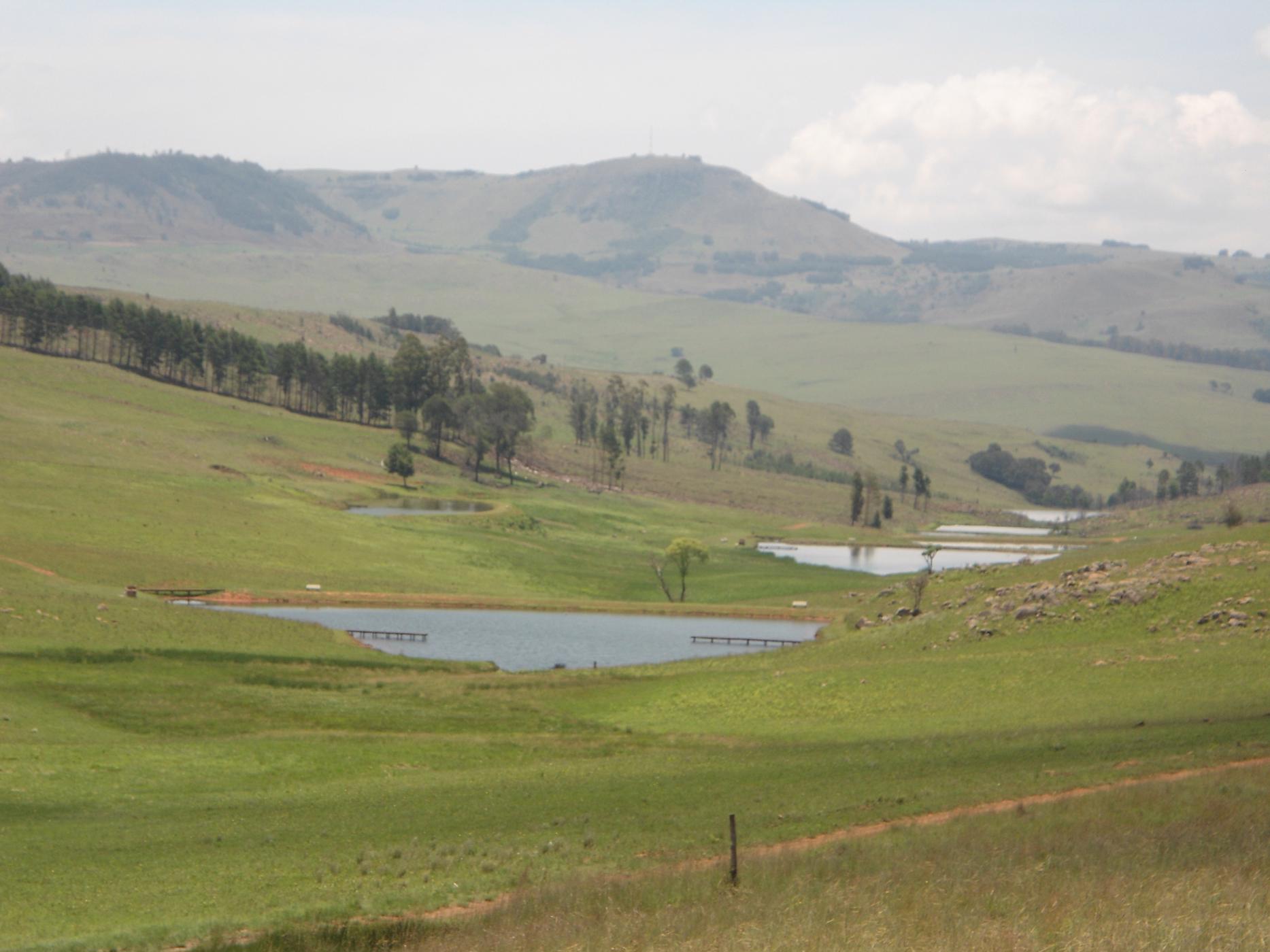 Vacant land for sale in Dullstroom - 1DS1716624