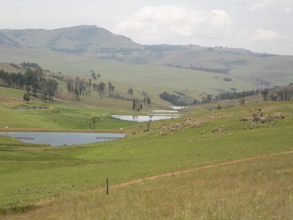 Vacant land for sale in Dullstroom - 1DS1716624 Vacant land for sale in Dullstroom - 1DS1716624