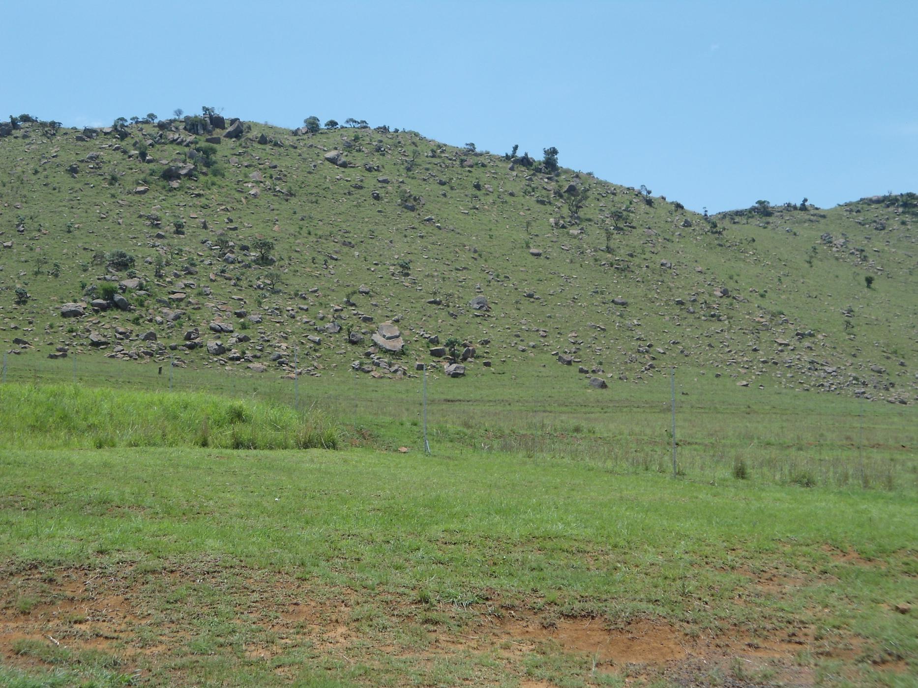 Vacant land for sale in Dullstroom - 1DS1716624