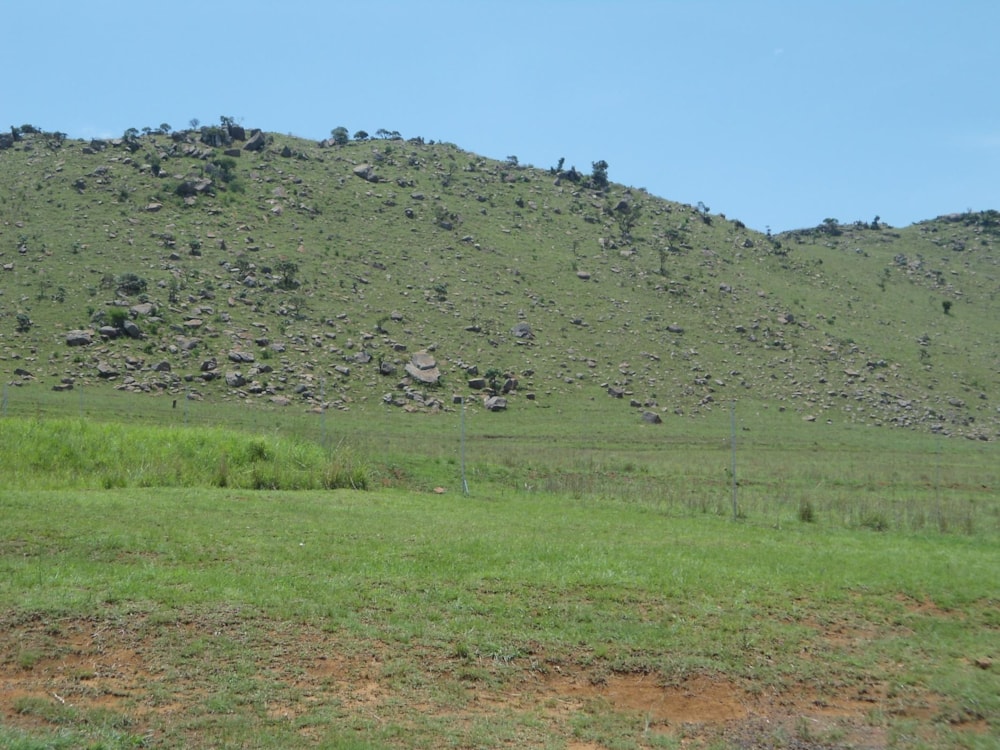 Vacant land for sale in Dullstroom - 1DS1716624 Vacant land for sale in Dullstroom - 1DS1716624