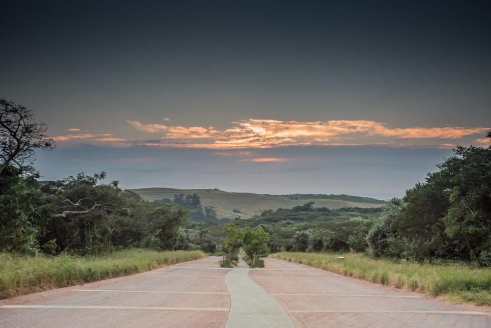 Residential vacant land for sale in Elaleni Coastal Forest Estate - 1BD1654593