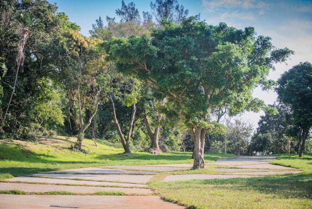 Residential vacant land for sale in Elaleni Coastal Forest Estate - 1BD1654593