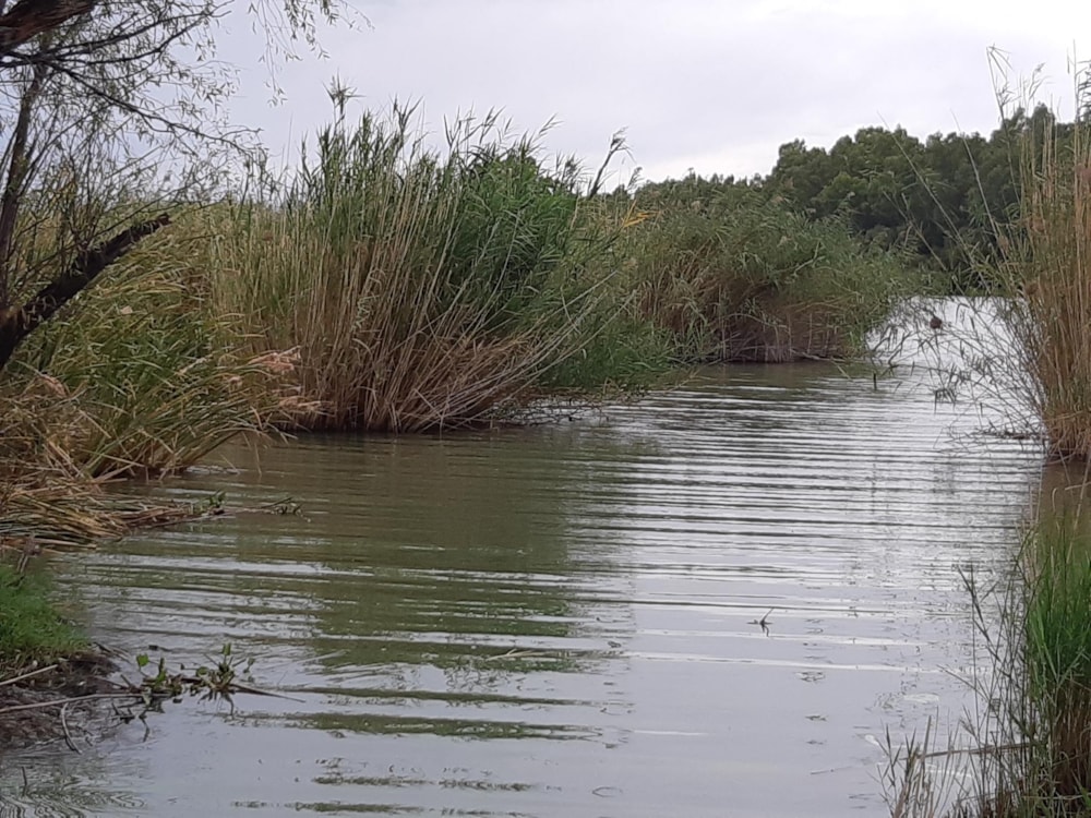 Aquaculture farm for sale in Christiana, North West Province - 1KJ1689443