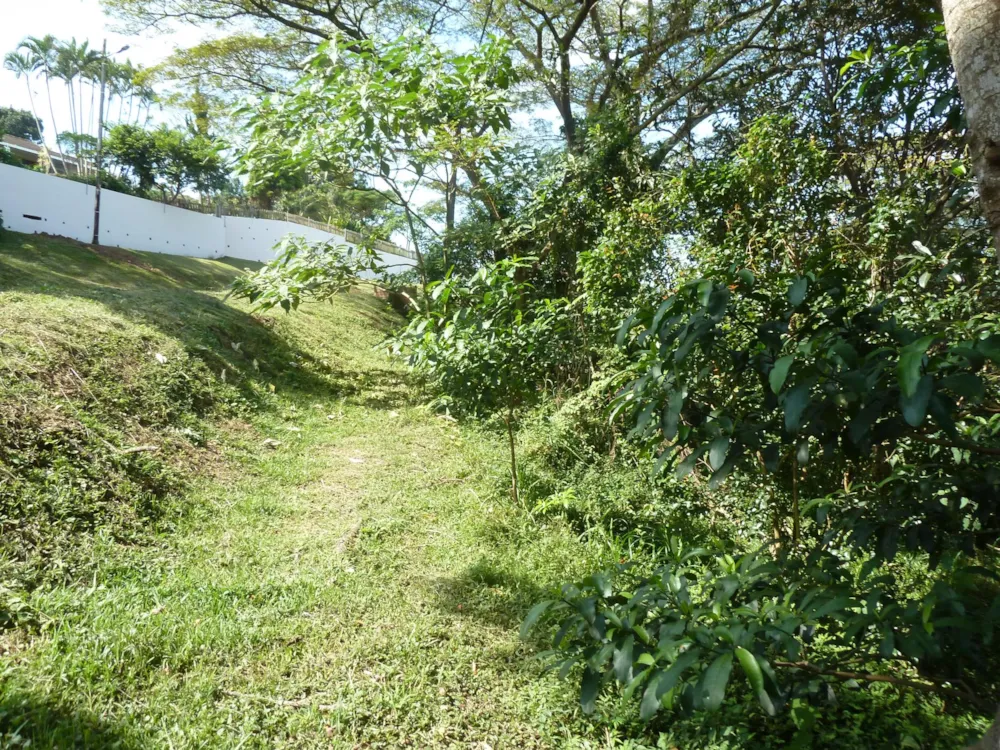 Residential vacant land for sale in Crestview - 1KF1734655 Residential vacant land for sale in Crestview - 1KF1734655