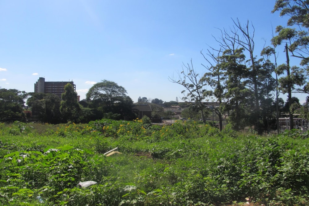 Vacant land for sale in Sydenham, Overport - 1WP1743120