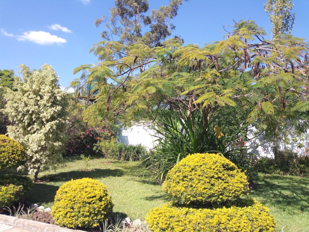 House to rent in Ibex Hill, Zambia - 3ZA1725028 House to rent in Ibex Hill, Zambia - 3ZA1725028