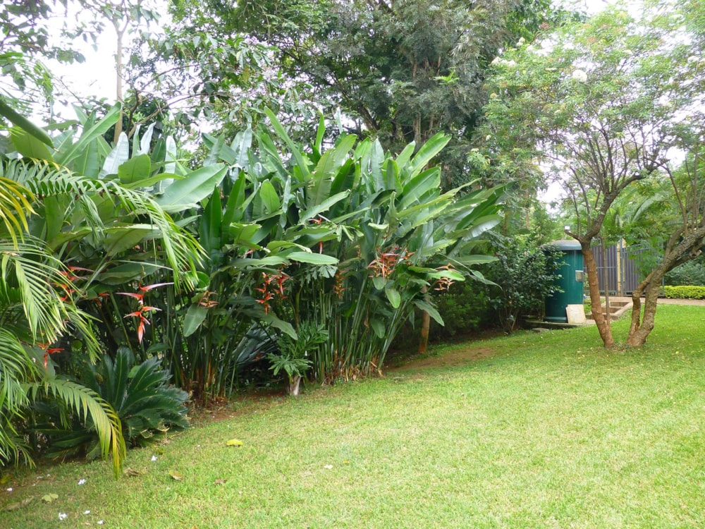 House let in Lower Kabete, Kenya - 3KE1665452 House let in Lower Kabete, Kenya - 3KE1665452