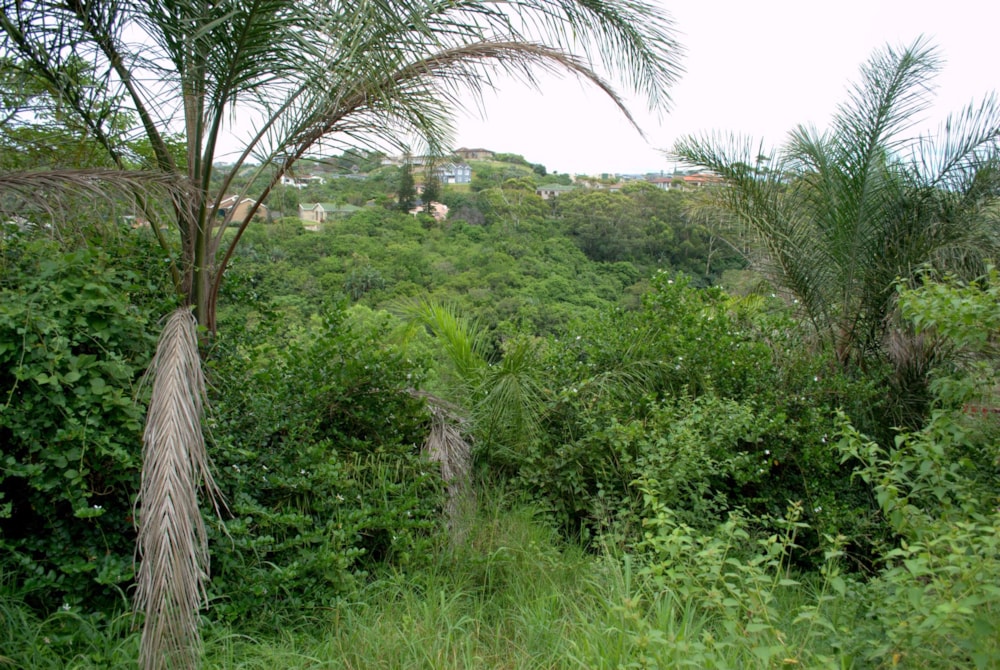 Residential vacant land for sale in Salt Rock - 1BD1739413
