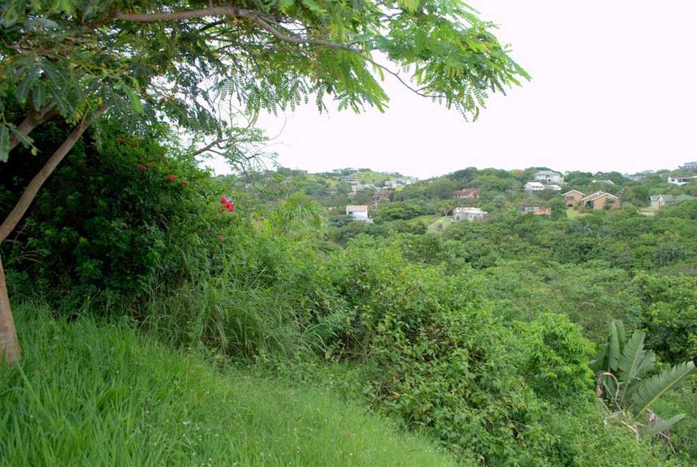 Residential vacant land for sale in Salt Rock - 1BD1739413