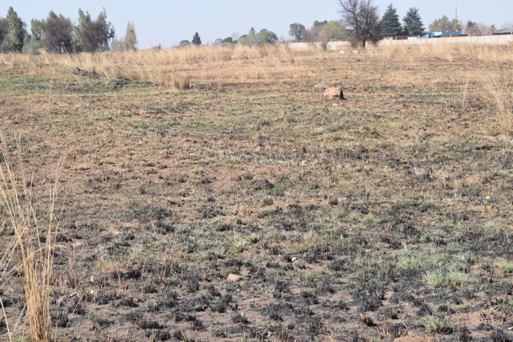 Farm vacant land for sale in Shalimar Ridge - 1SP1671563