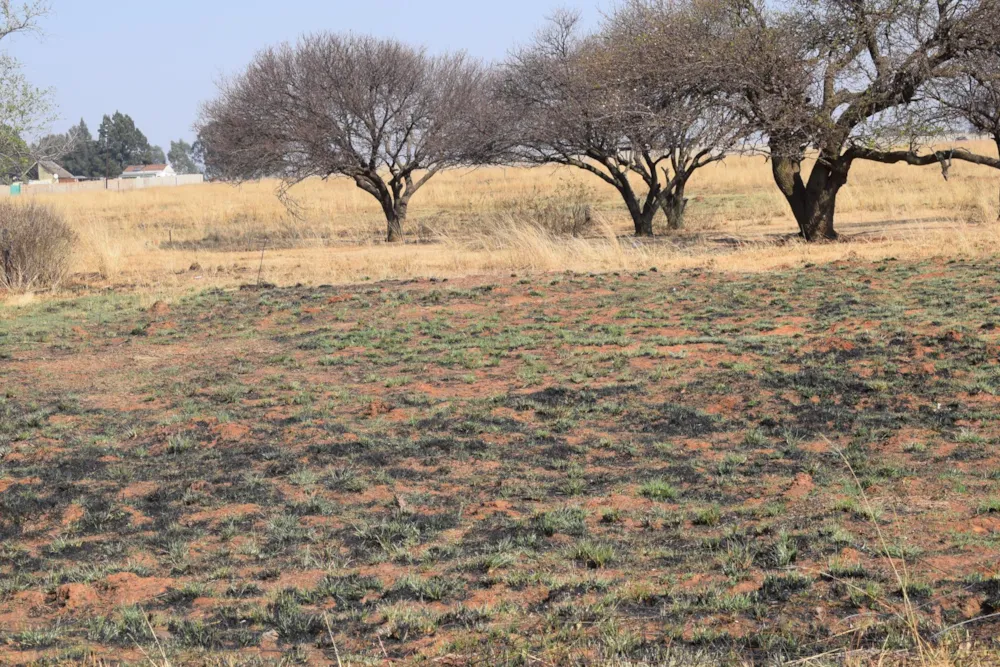 Farm vacant land for sale in Heidelberg, Gauteng - 1SP1675855
