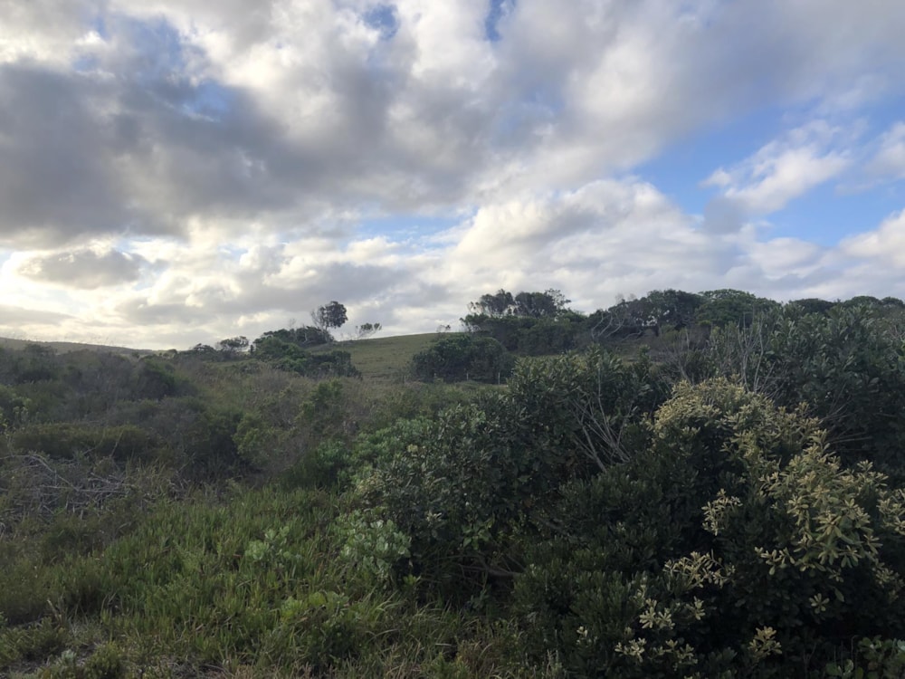 Vacant land for sale in Cannon Rocks - 1KO1729715