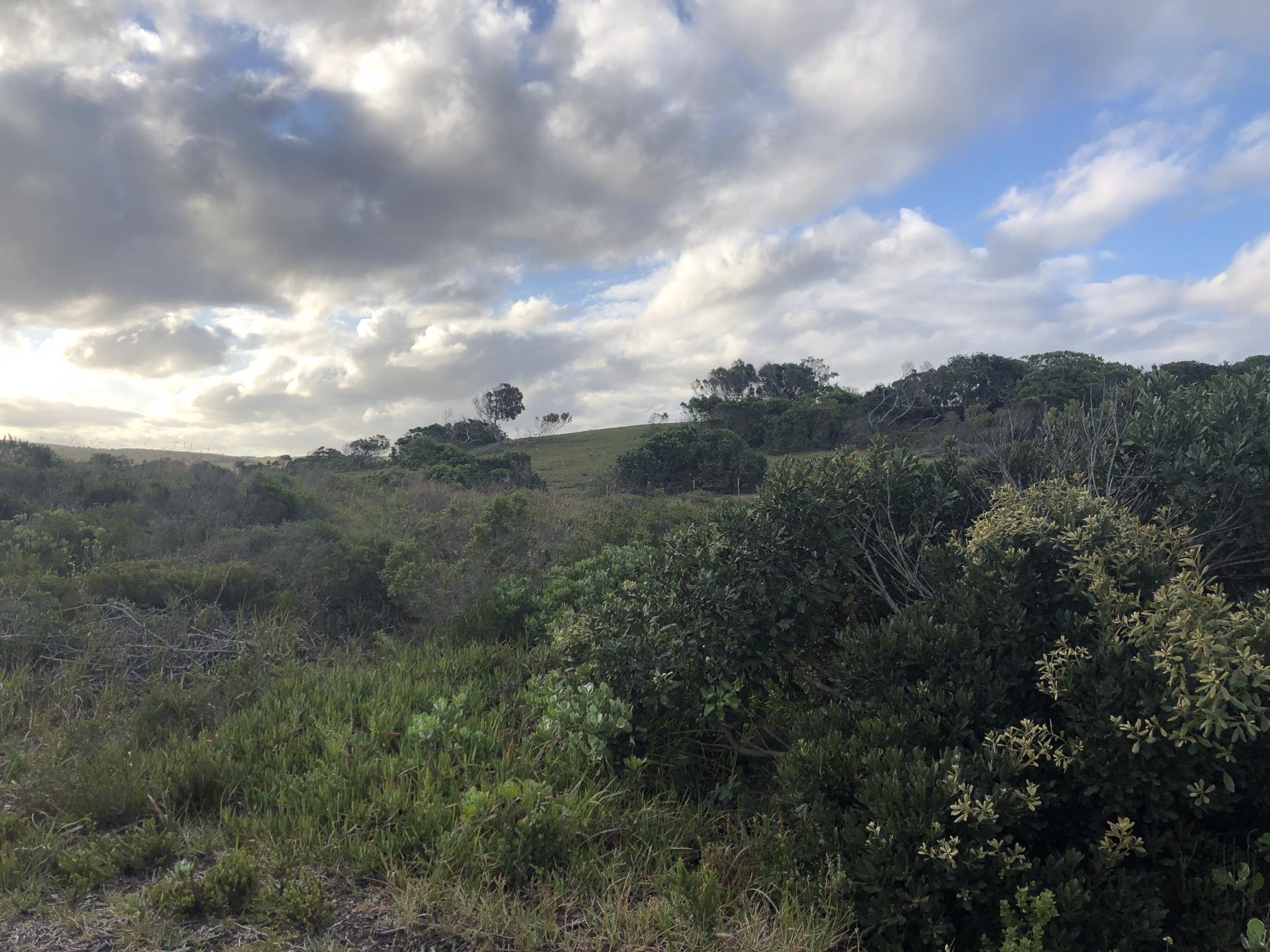 Vacant land for sale in Cannon Rocks - 1KO1729715