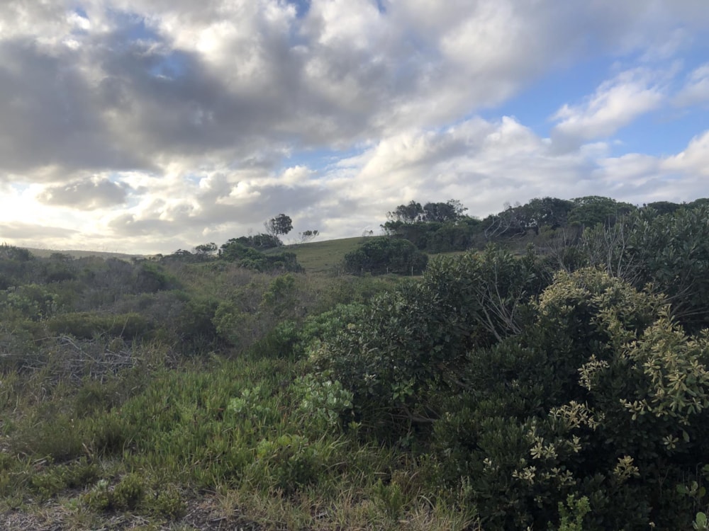 Vacant land for sale in Cannon Rocks - 1KO1729715