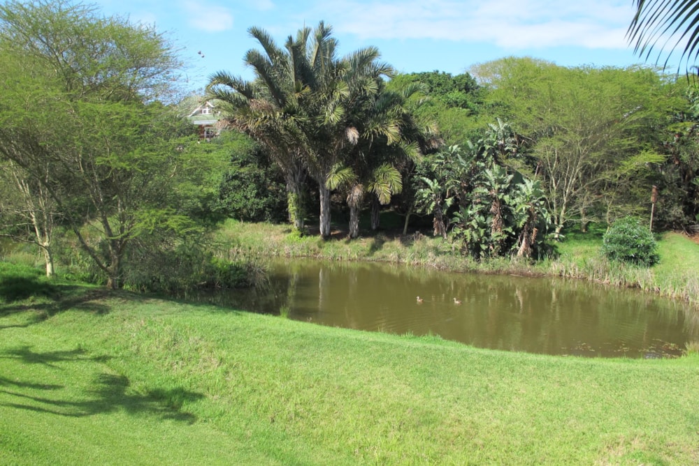 House to rent in Mount Edgecombe Country Estate - 1MT1727506