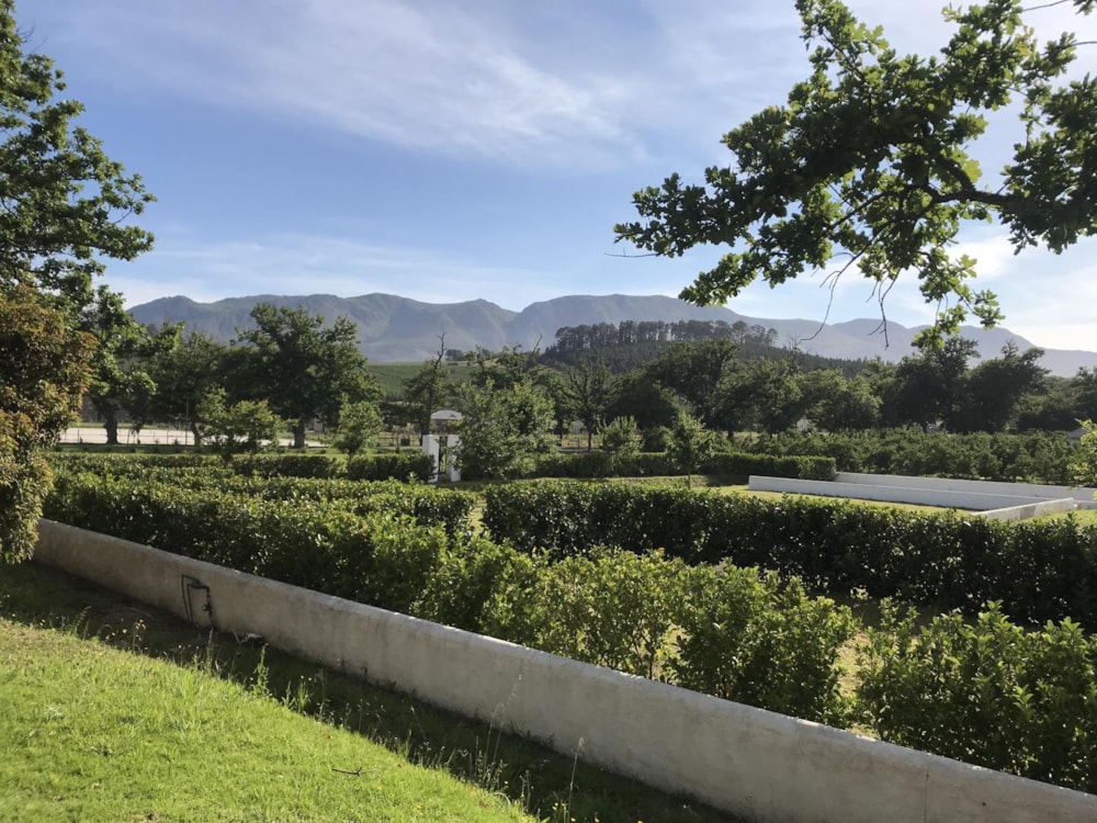 Vacant land sold in Elgin District - HF1699582 Vacant land sold in Elgin District - HF1699582