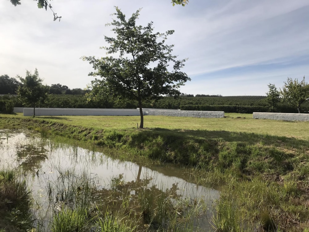 Vacant land sold in Elgin District - HF1699582 Vacant land sold in Elgin District - HF1699582