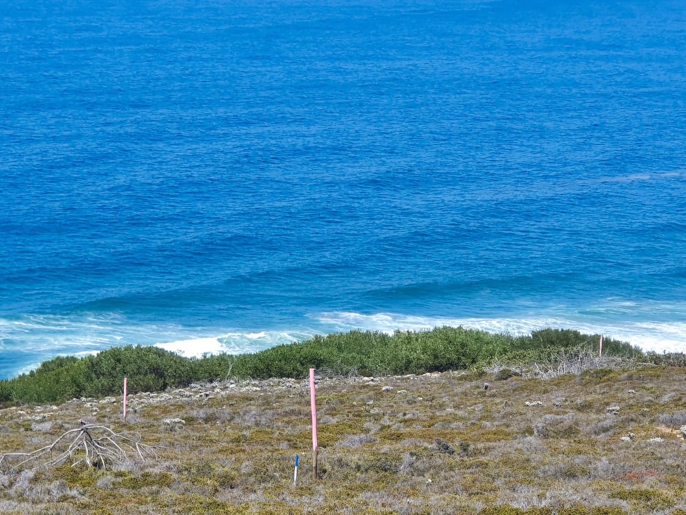 Residential vacant land for sale in Paradise Coast - 1MB1736267 Residential vacant land for sale in Paradise Coast - 1MB1736267