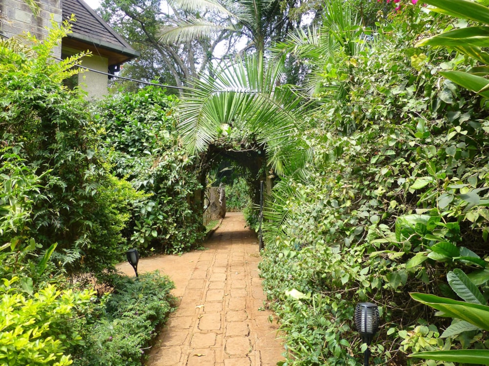 Cottage let in Kyuna , Kenya - 3KE1696960 Cottage let in Kyuna , Kenya - 3KE1696960