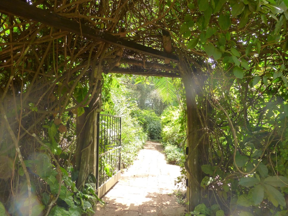 Cottage let in Kyuna , Kenya - 3KE1696960 Cottage let in Kyuna , Kenya - 3KE1696960