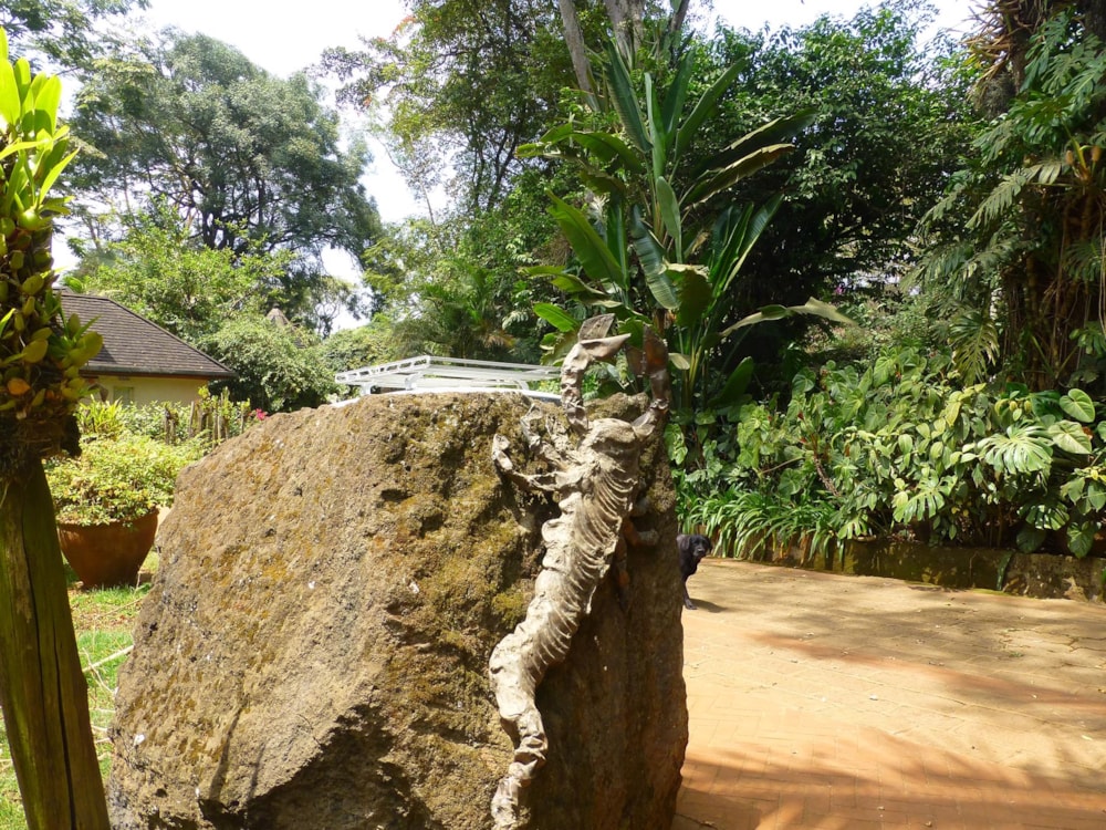 Cottage let in Kyuna , Kenya - 3KE1696960 Cottage let in Kyuna , Kenya - 3KE1696960