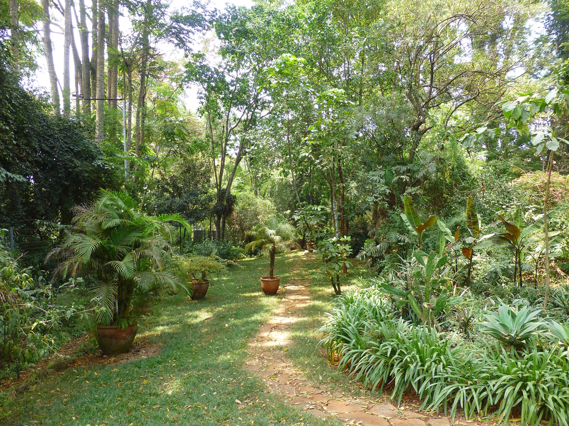 Cottage let in Kyuna , Kenya - 3KE1696960