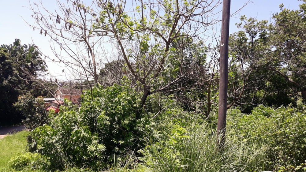 Vacant land for sale in Margate - 1PSH1673924