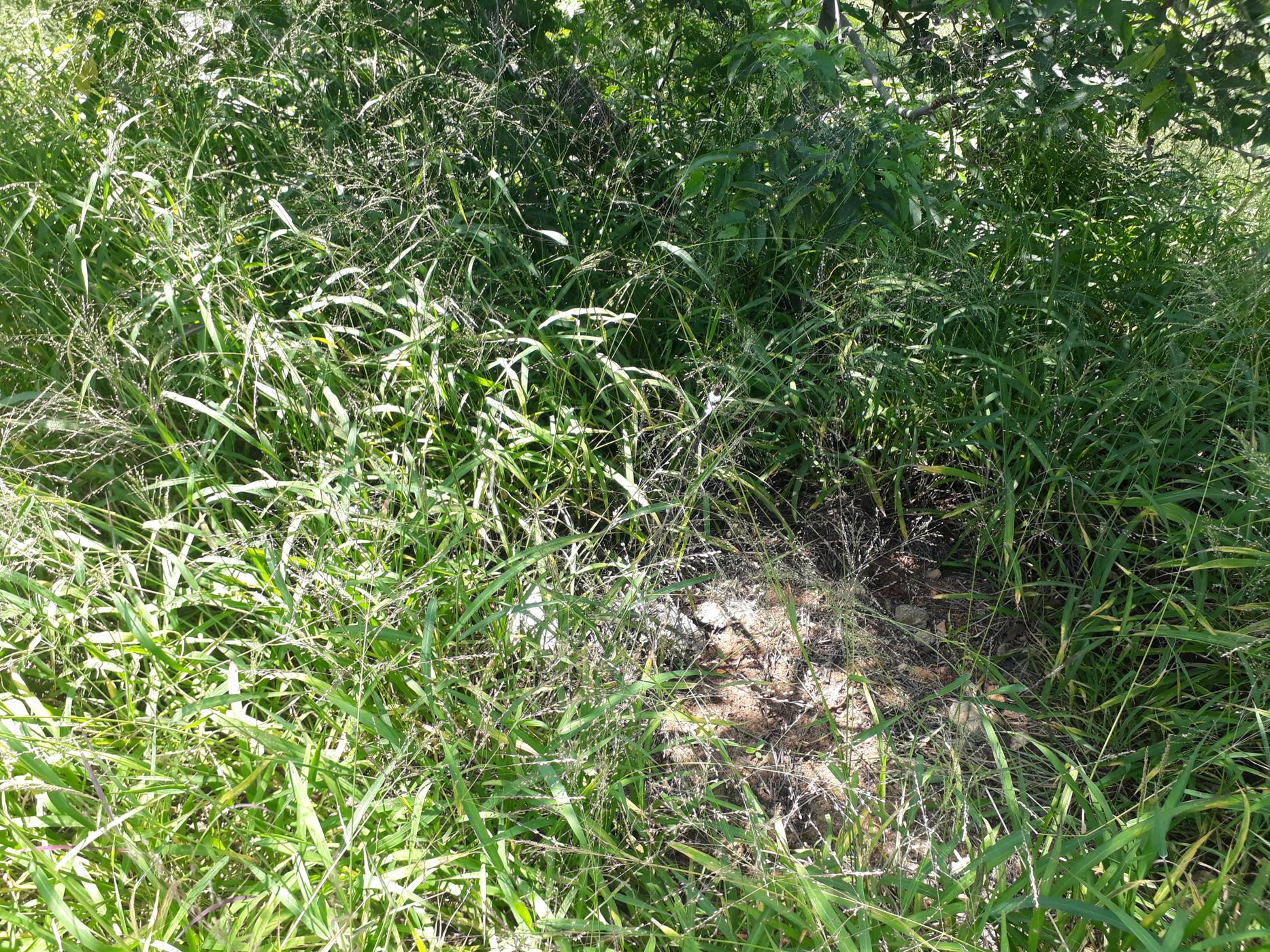 Residential vacant land for sale in Elawini Lifestyle Estate - 1NS1646501