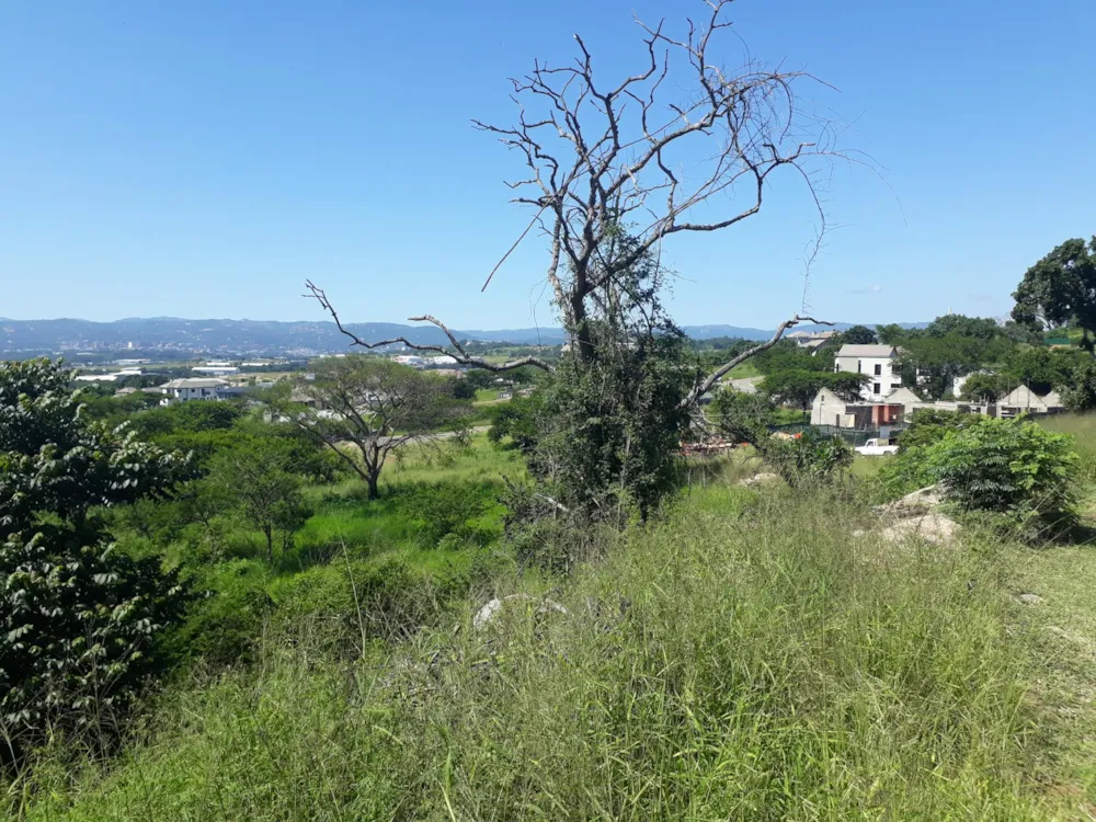 Residential vacant land for sale in Elawini Lifestyle Estate - 1NS1646501