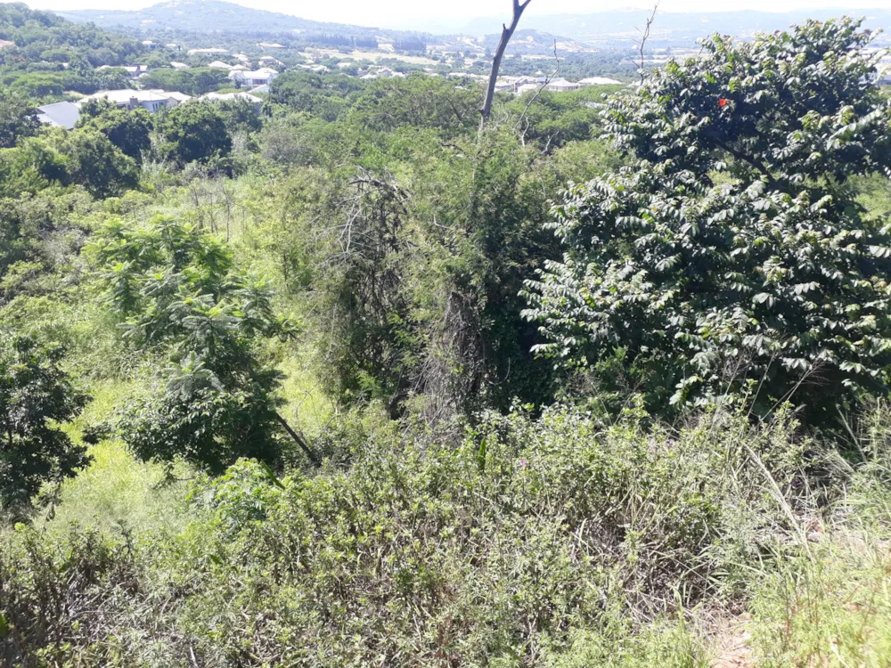 Residential vacant land for sale in Elawini Lifestyle Estate - 1NS1646501