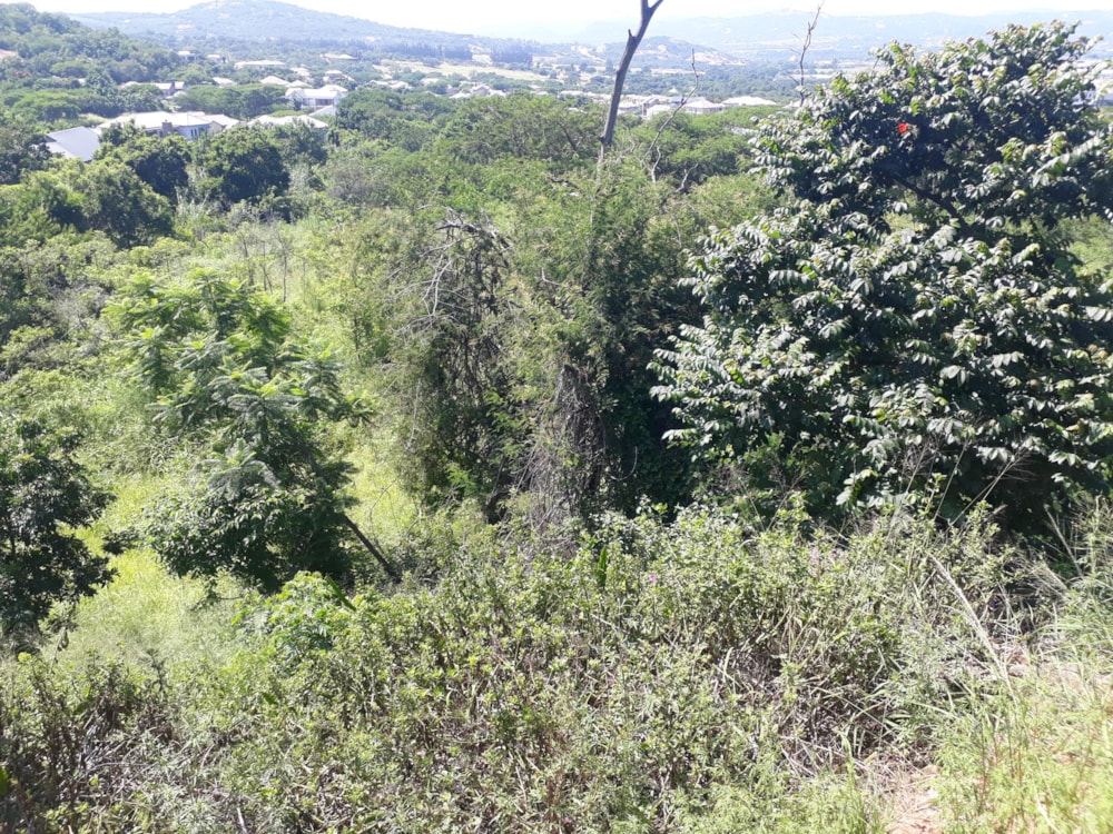 Residential vacant land for sale in Elawini Lifestyle Estate - 1NS1646501