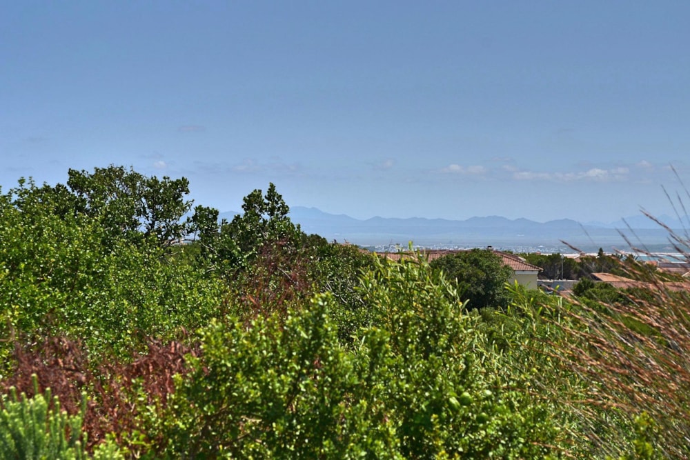 Vacant land sold in Santareme - 1SA1733603