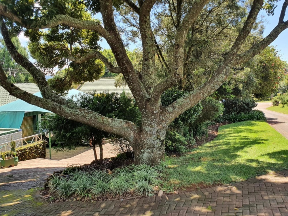 House sold in Haenertsburg - 1TA1683346 House sold in Haenertsburg - 1TA1683346