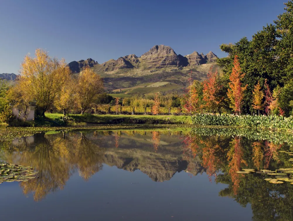 Wine farm for sale in Stellenbosch Farms - ST1687770 Wine farm for sale in Stellenbosch Farms - ST1687770