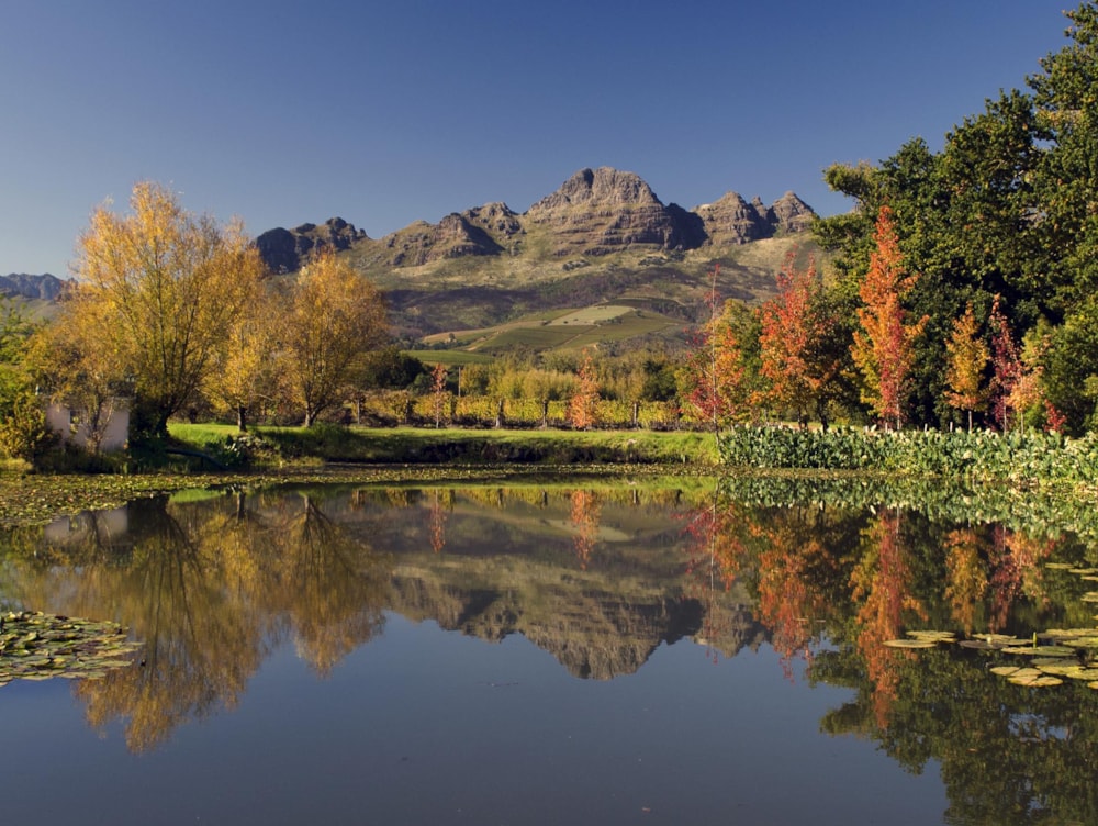 Wine farm for sale in Stellenbosch Farms - ST1687770 Wine farm for sale in Stellenbosch Farms - ST1687770