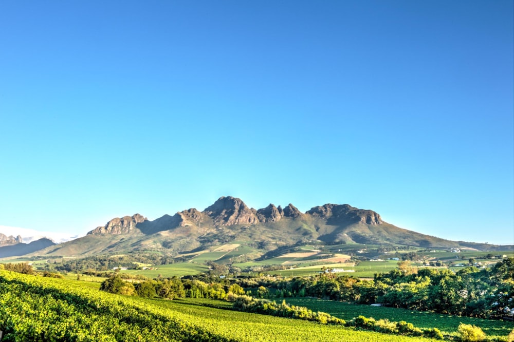 Wine farm for sale in Stellenbosch Farms - ST1687770 Wine farm for sale in Stellenbosch Farms - ST1687770