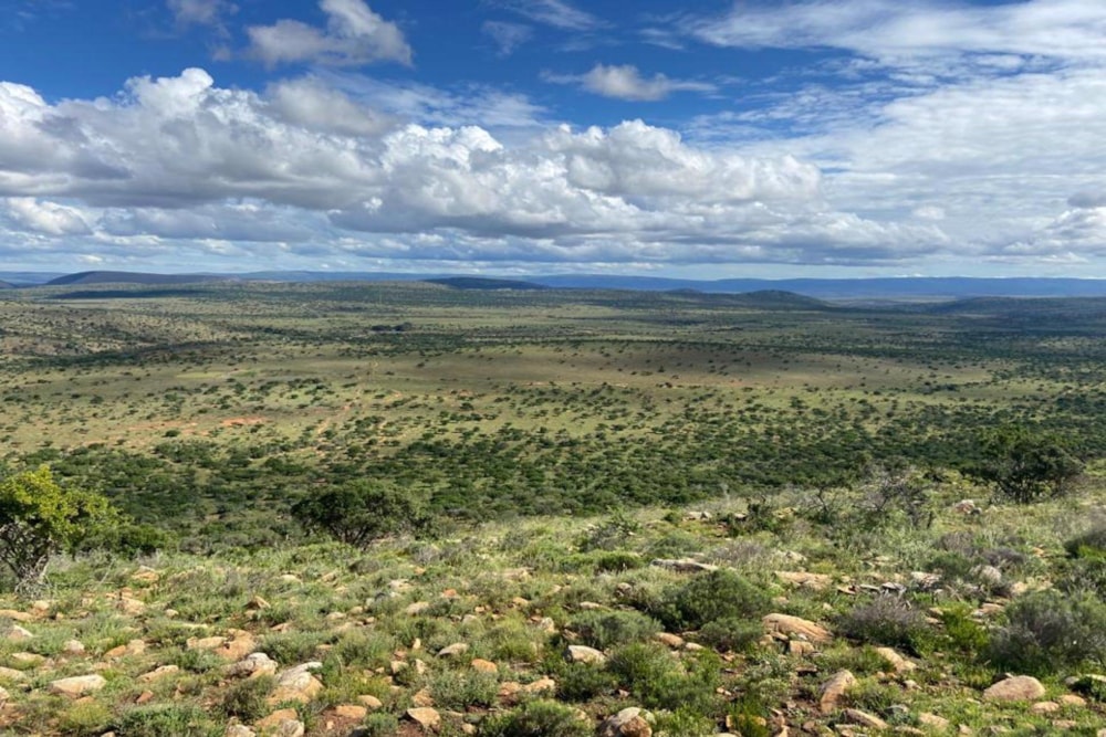 Livestock farm for sale in Grahamstown (Makhanda) - 1GC1691964 Livestock farm for sale in Grahamstown (Makhanda) - 1GC1691964