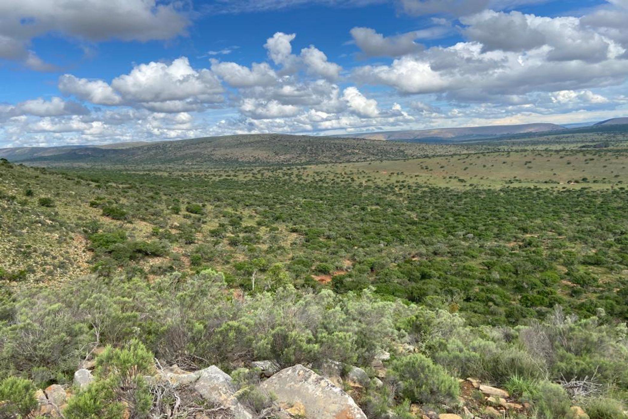 Livestock farm for sale in Grahamstown (Makhanda) - 1GC1691964