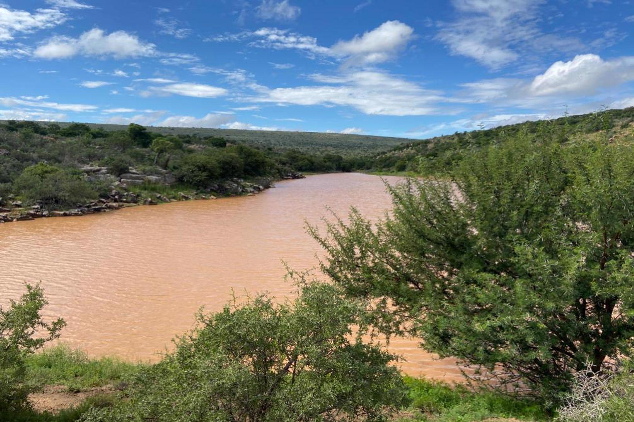 Livestock farm for sale in Grahamstown (Makhanda) - 1GC1691964