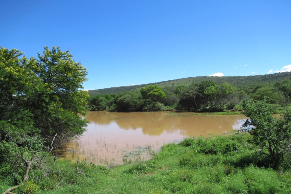Livestock farm for sale in Grahamstown (Makhanda) - 1GC1691964