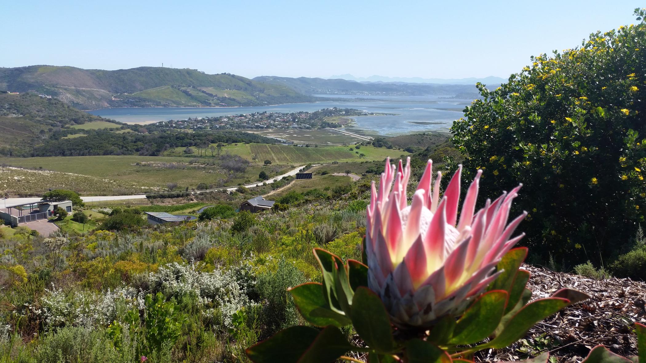 Residential vacant land for sale in Fernwood, Knysna - 1KG1653723