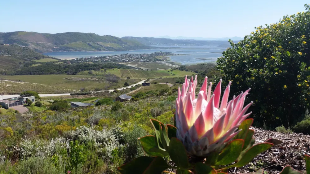 Residential vacant land for sale in Fernwood, Knysna - 1KG1653723 Residential vacant land for sale in Fernwood, Knysna - 1KG1653723