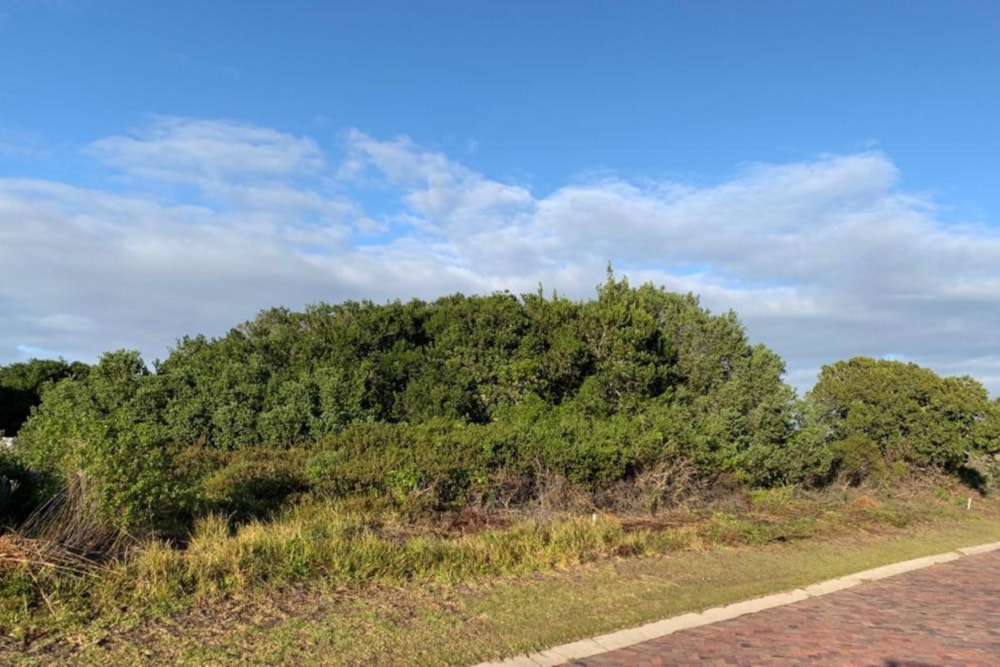 Vacant land for sale in St Francis Links - 1SA1707150 Vacant land for sale in St Francis Links - 1SA1707150