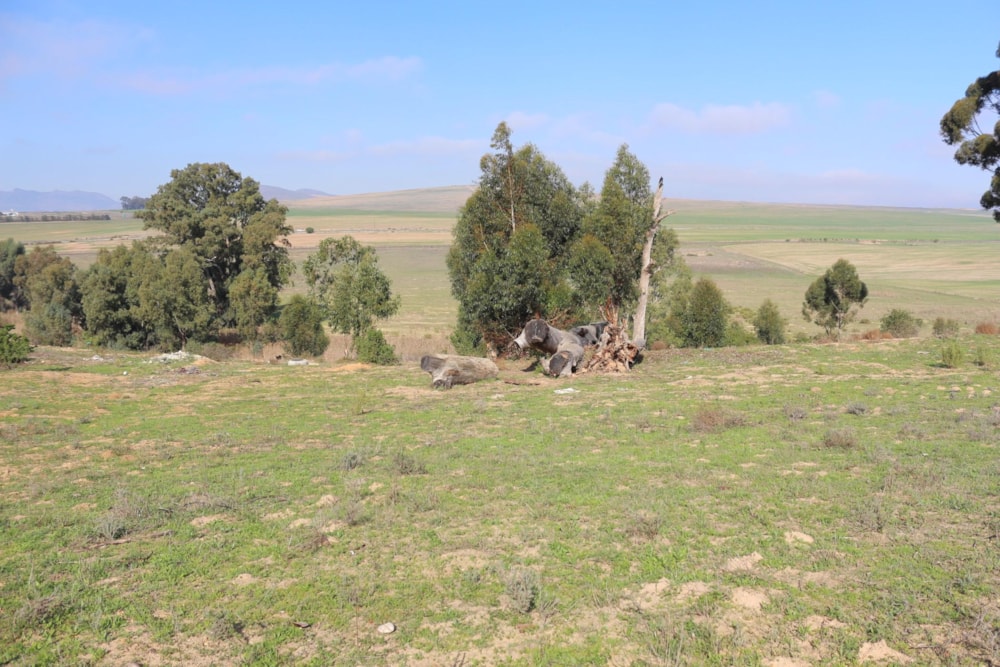 Commercial industrial property for sale in Malmesbury Industria - 1SJ1707768 Commercial industrial property for sale in Malmesbury Industria - 1SJ1707768