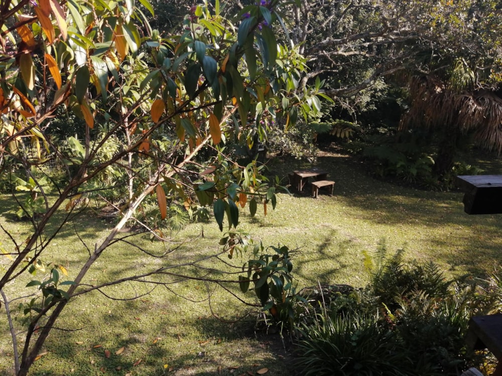 Single-storey house for sale in Leisure Bay - 1PD1661983 Single-storey house for sale in Leisure Bay - 1PD1661983