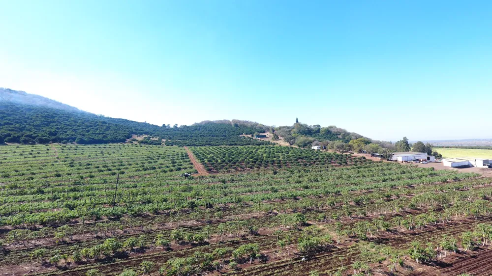 Mixed use farm for sale in Malelane - 1NK1709932
