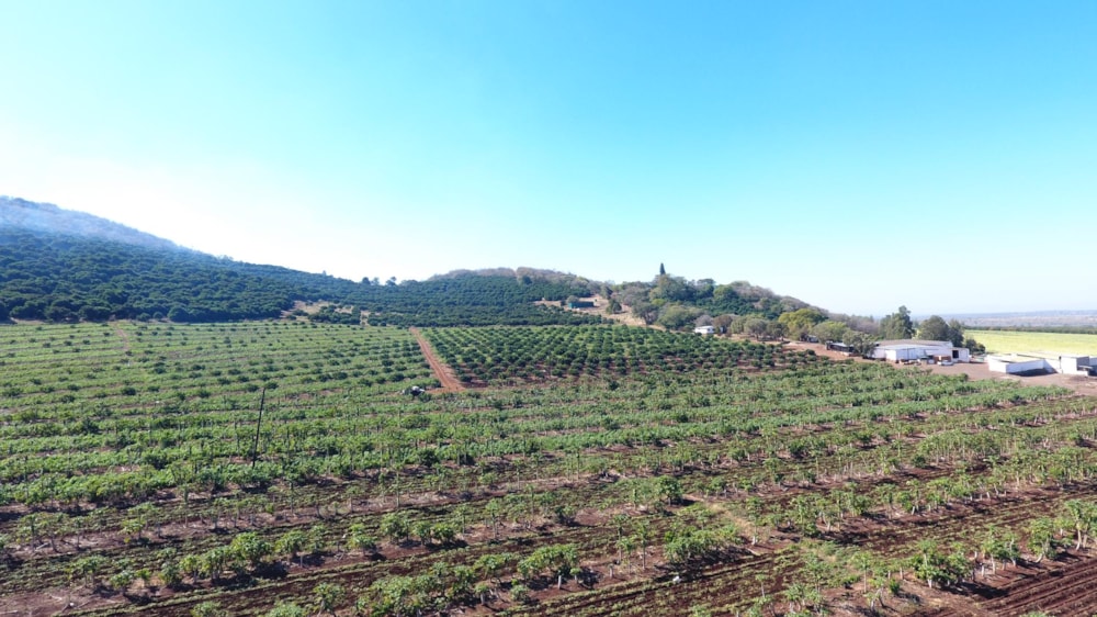 Mixed use farm for sale in Malelane - 1NK1709932 Mixed use farm for sale in Malelane - 1NK1709932