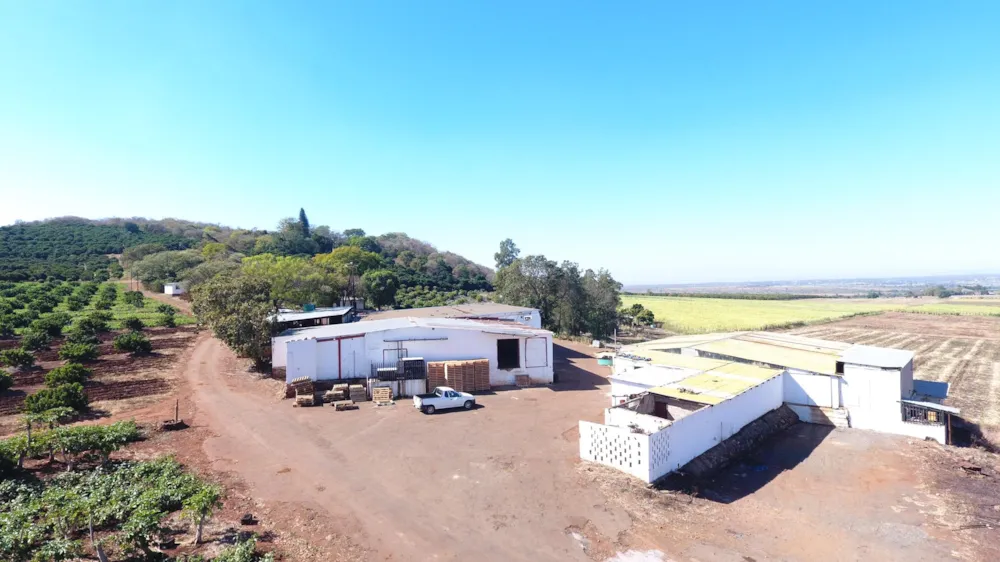 Mixed use farm for sale in Malelane - 1NK1709932